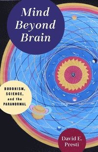 bokomslag Mind Beyond Brain