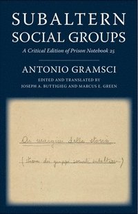bokomslag Subaltern Social Groups