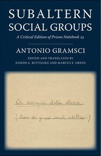 bokomslag Subaltern Social Groups