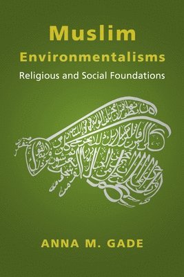 bokomslag Muslim Environmentalisms
