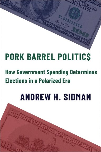 bokomslag Pork Barrel Politics