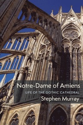bokomslag Notre-Dame of Amiens