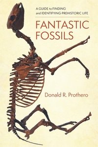 bokomslag Fantastic Fossils