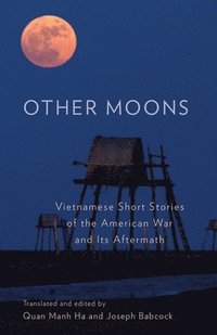 bokomslag Other Moons