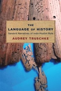 bokomslag The Language of History