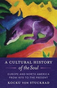 bokomslag A Cultural History of the Soul
