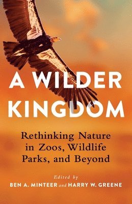 bokomslag A Wilder Kingdom