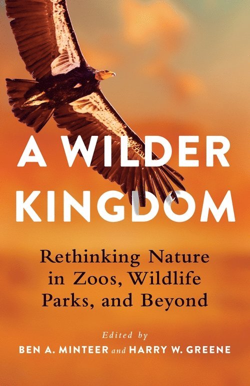 Wilder Kingdom