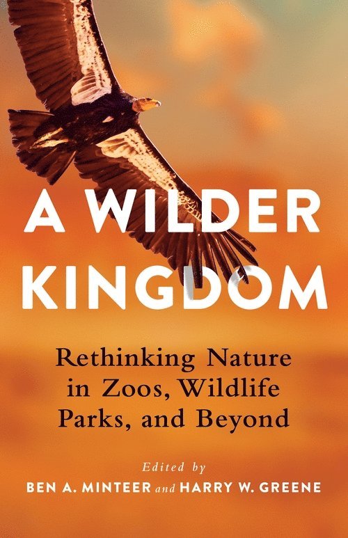 A Wilder Kingdom 1