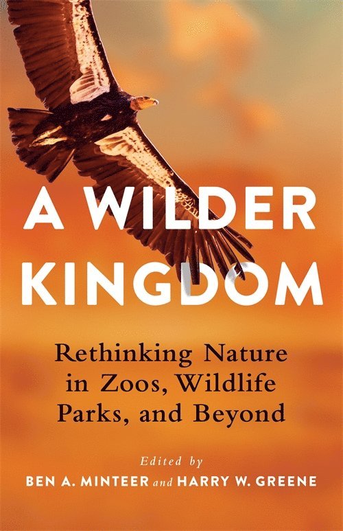 A Wilder Kingdom 1