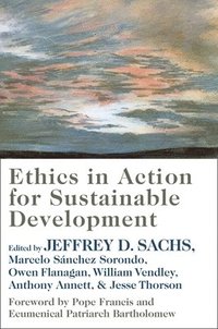 bokomslag Ethics in Action for Sustainable Development