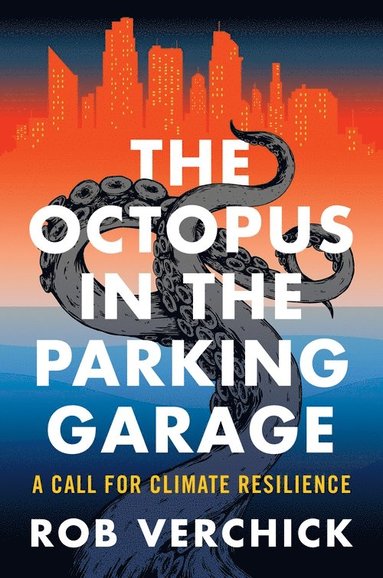 bokomslag Octopus in the Parking Garage