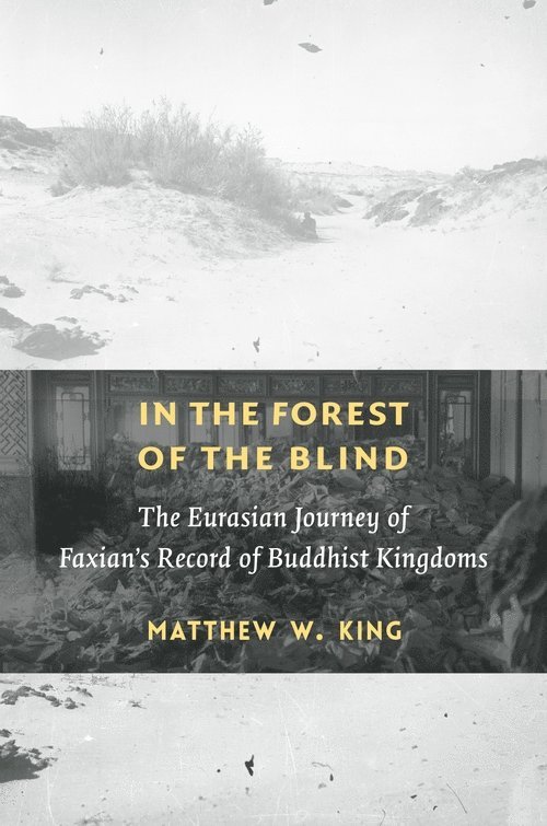 Matthew W. King - In the Forest of the Blind, Häftad