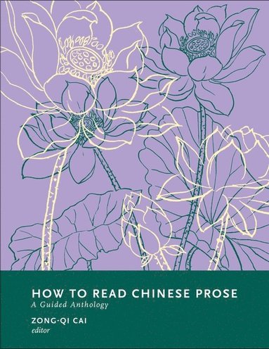 bokomslag How to Read Chinese Prose