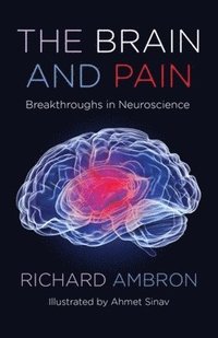 bokomslag The Brain and Pain