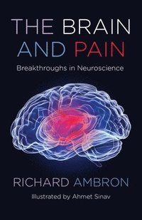 bokomslag The Brain and Pain