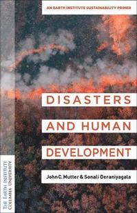 bokomslag Disasters and Development