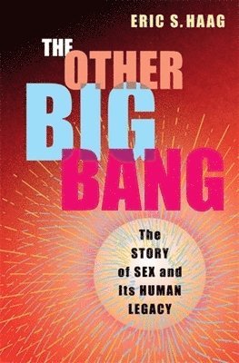 bokomslag The Other Big Bang