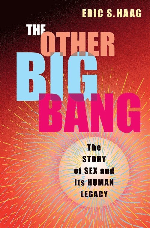 Other Big Bang 1