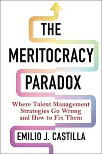 bokomslag Meritocracy Paradox