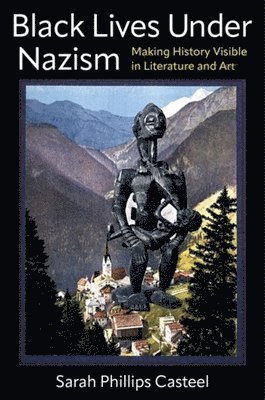 Sarah Phillips Casteel - Black Lives Under Nazism, Inbunden