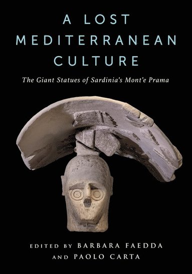 bokomslag Lost Mediterranean Culture