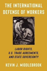 bokomslag The International Defense of Workers