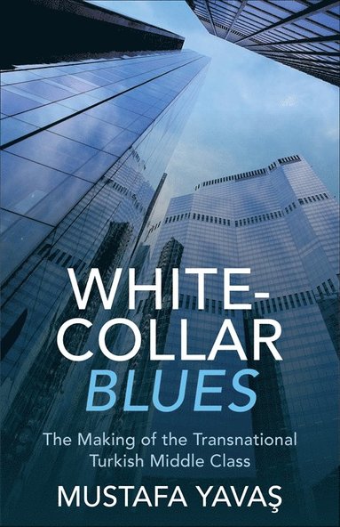 bokomslag White-Collar Blues