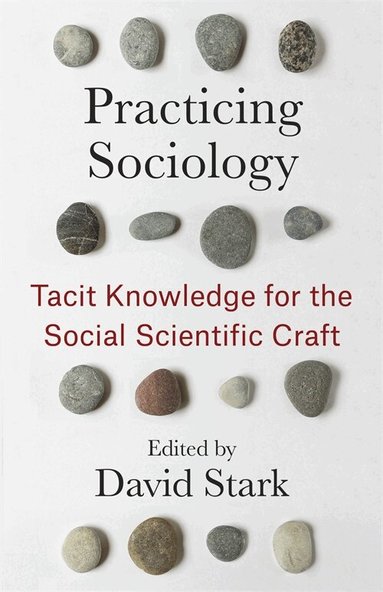 David Stark - Practicing Sociology, Häftad