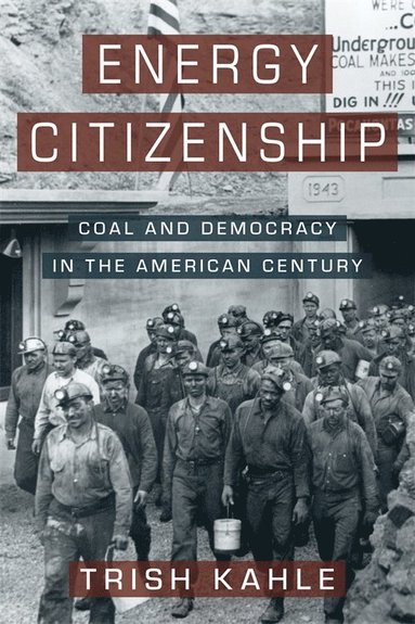 bokomslag Energy Citizenship