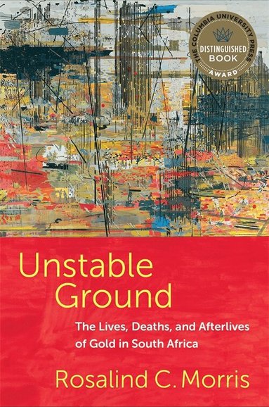 Rosalind C. Morris - Unstable Ground, Häftad