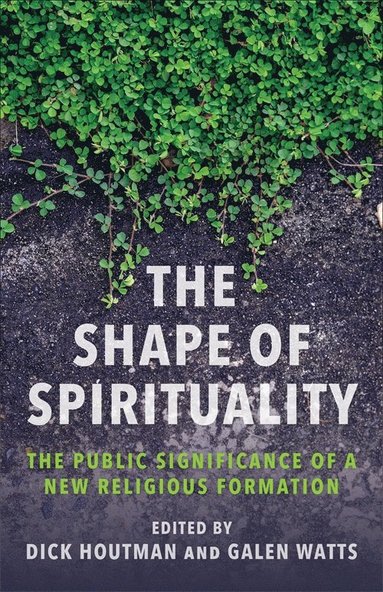 bokomslag Shape of Spirituality
