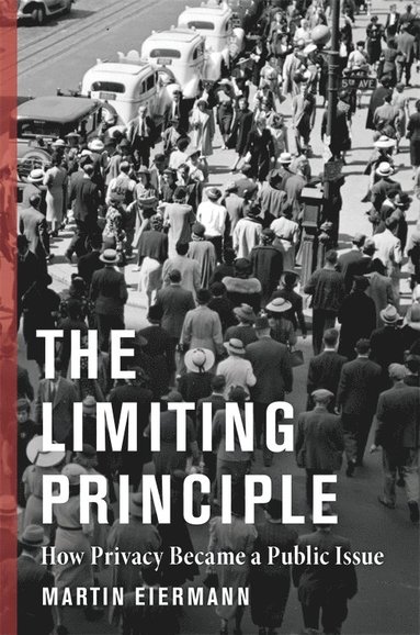 bokomslag Limiting Principle