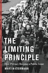bokomslag Limiting Principle