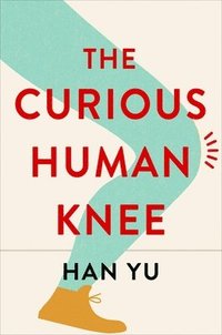 bokomslag The Curious Human Knee