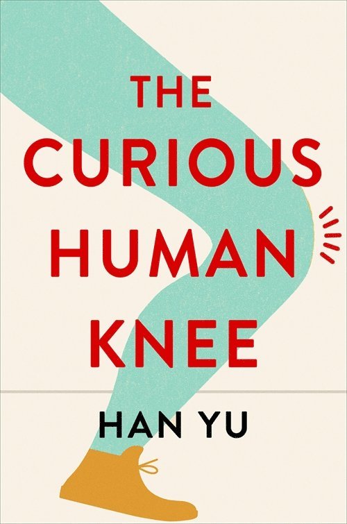 Curious Human Knee 1
