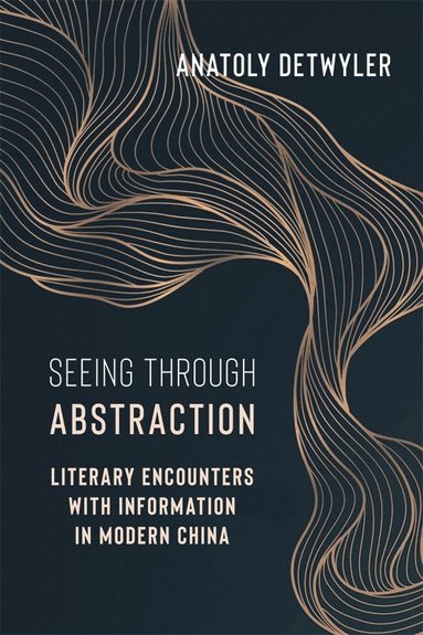 bokomslag Seeing Through Abstraction