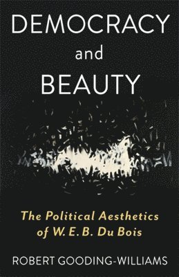 Democracy and Beauty 1