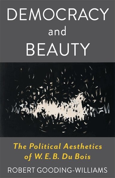 Robert Gooding-Williams - Democracy and Beauty, Häftad