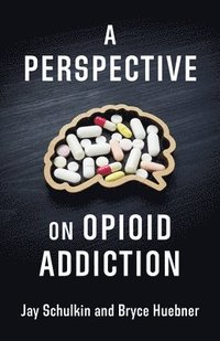 bokomslag A Perspective on Opioid Addiction