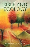 bokomslag Bible and Ecology