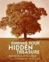 bokomslag Finding Your Hidden Treasure
