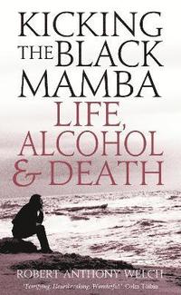 bokomslag Kicking the Black Mamba
