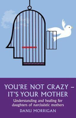 Danu Morrigan - You're Not Crazy - It's Your Mother, Häftad