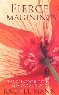 bokomslag Fierce Imaginings