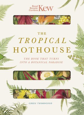Royal Botanic Gardens Kew - The Tropical Hothouse 1