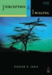 bokomslag Perception and Imaging