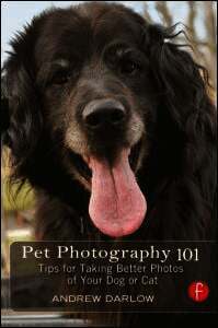Pet Photography 101