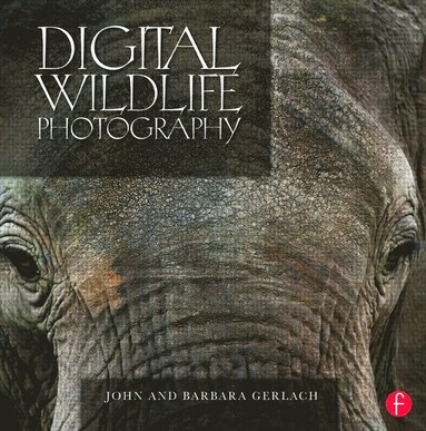 bokomslag Digital Wildlife Photography