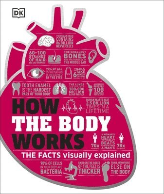How the Body Works 1